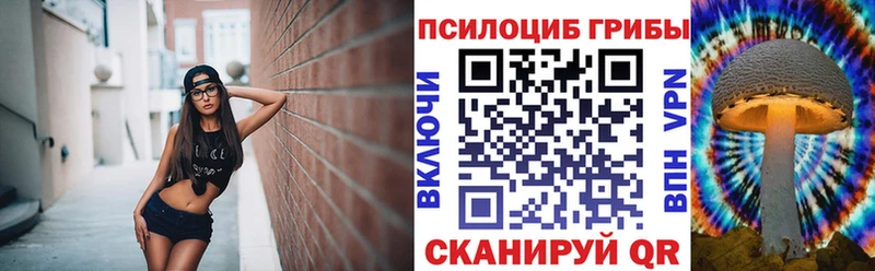 OMG зеркало  Приозерск  Галлюциногенные грибы MAGIC MUSHROOMS 