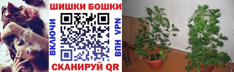 Марихуана марихуана  продажа наркотиков  Приозерск 